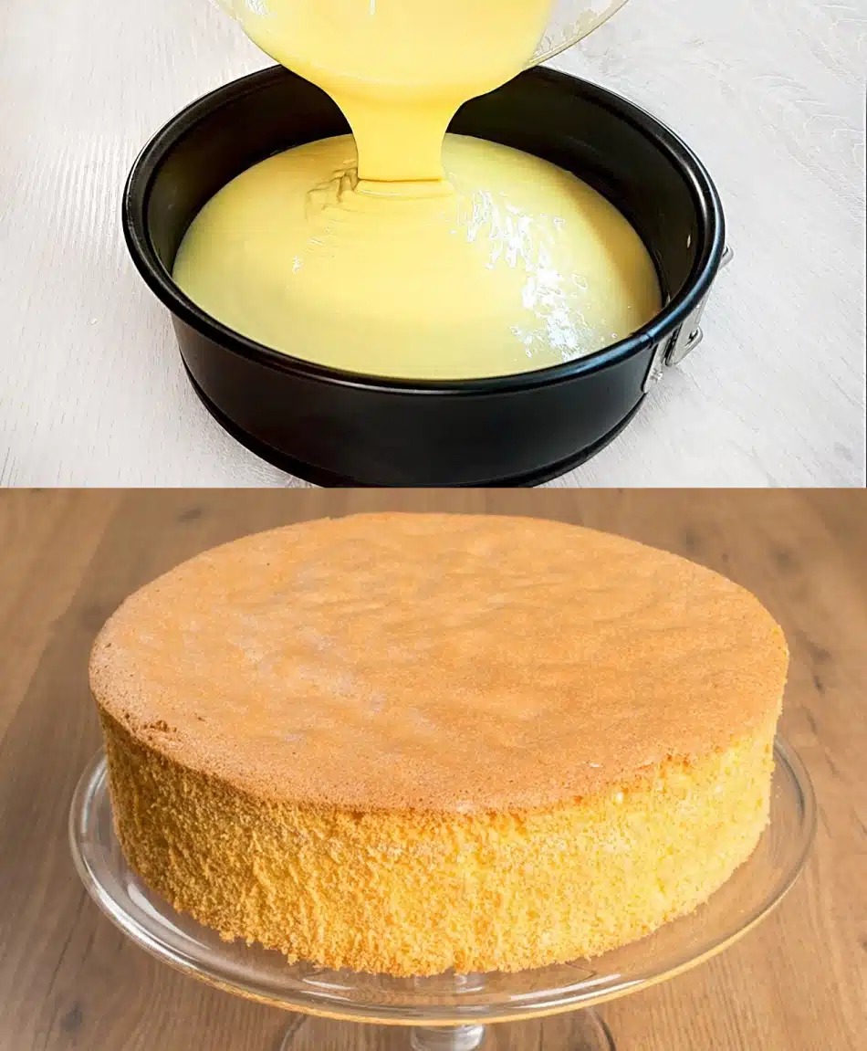 Biskuitboden nach Tradition eines Bäckermeisters: Das Geheimnis für ...